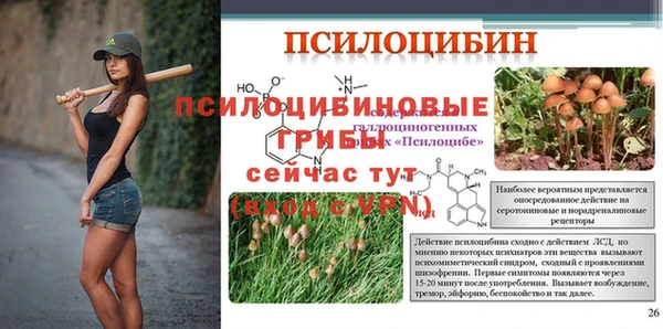 ГАЛЛЮЦИНОГЕННЫЕ ГРИБЫ Алексеевка