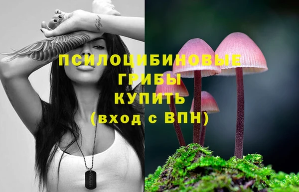 ГАЛЛЮЦИНОГЕННЫЕ ГРИБЫ Алексеевка