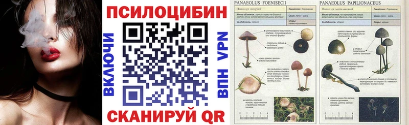Псилоцибиновые грибы MAGIC MUSHROOMS  Сочи 
