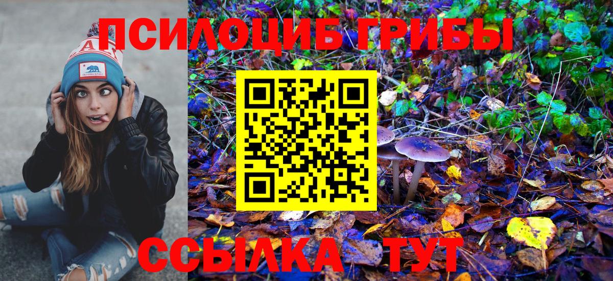 Галлюциногенные грибы мицелий Сочи