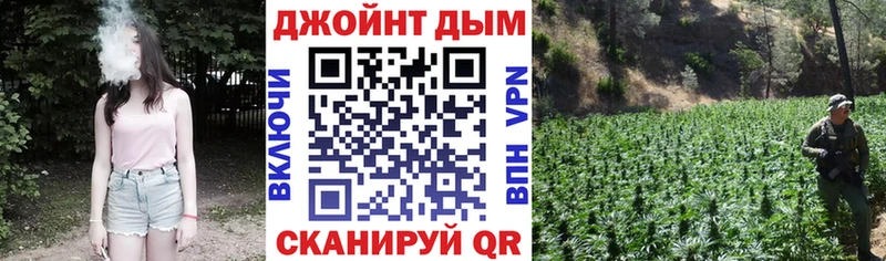 Бошки Шишки сатива Сочи